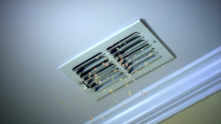 Best Ventilation Cleaning Services  in Bee Ridge, FL